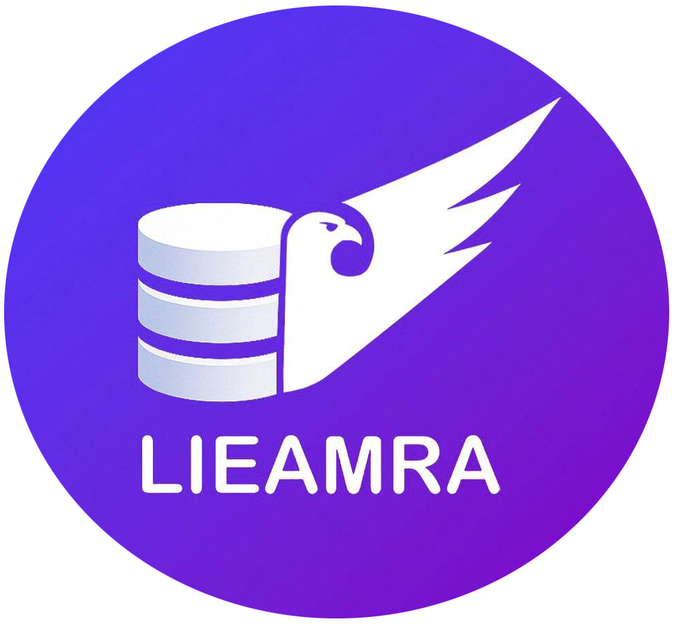 Lieamra QR Parser